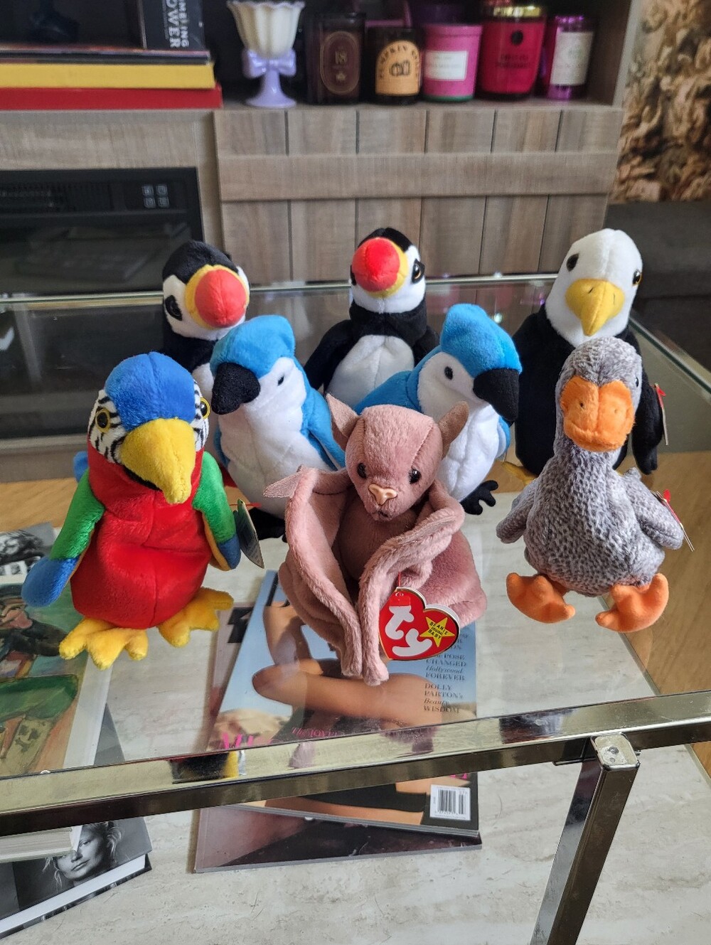 TY Beanie Babies Mixed Bird Lot (8)